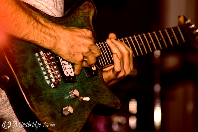 guitar close-up colorize 